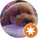 Stephen profile picture