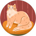 Matty profile picture