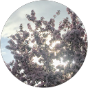T. Diegel profile picture